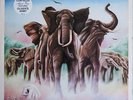 Elvis Costello Armed Forces Australia press 12'' vinyl Lp 1979 punk rare rock