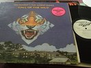 TED NUGENT AND THE AMBOY DUKES CALL OF THE WILD WHITE LABEL PROMO DISCREET 1974