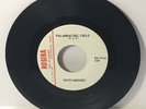 Sixto Sánchez 45 Chicano Tejano Latin Soul Instrumental Record Rosina #172