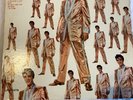 Elvis' Gold Records Volume 2 LP Vinyl Record