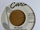 Milton Wright And The Terra Shirma Strings 7” Vinyl Single. Promo 45-1902.