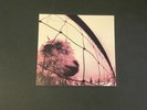 Pearl Jam Vs. Vitalogy Limited Ed Deluxe Box Set Never Played Vinyl LP CD Record