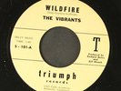 VIBRANTS: wildfire / scorpion TRIUMPH 7