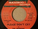 THE WONDERS: Please Don't Cry 45 Bamboo doo wop doowop hear