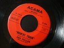 ZEN FULLER MEM'RY TRAIN 45 RECORD LITTLE SISTER