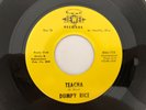 Rare Ohio Jazz Soul 45 DUMPY RICE Teacha JEWEL  hear