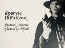 ROBYN HITCHCOCK: Black Snake Diamond Role UK 1st Press  LP   EX Soft Boys