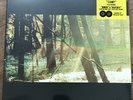 Childish Gambino -Camp 2LP [Vinyl New] 180g Hip Hop Trifold Record Album Glassno