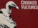 ORIGINAL 2009 THEM CROOKED VULTURES Album S/T Vinyl 1ST PRESSING 2Lp MINT COND