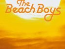 The Beach Boys SOUNDS OF SUMMER: VERY BEST OF Essential NEW BLACK VINYL 2 LP