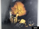 Pearl Jam Vinyl - Riot Act -  2 LP - Original 2002  EPIC E2 86825 RARE  VG/EX