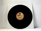 GEORGE HARRISON LP Dark Horse Radio Special 1974 Dark Horse  promo  vinyl