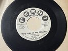 Topics w Frankie Valli 1962 DOOWOP 45 The Girl In My Dreams PERRI strong VG HEAR
