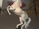 Stallion lp / NBLP 7040 / SEALED