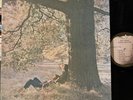 John Lennon Plastic Ono Band Vinyl LP Apple SW 3372 1st Pressing VG+/NM Mother