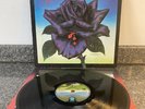 Lp Thin Lizzy Black Rose A Rock Legend Vinyl Album UK 1st Press 9102 032 EX/EX 