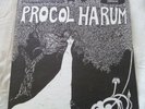 PROCOL HARUM Debut US DERAM, Debut Album 
