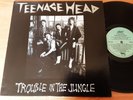 TEENAGE HEAD -- TROUBLE IN THE JUNGLE -- MINT