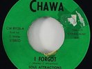 Soul Attractions 