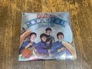 The Beatles 2 LP - Rock n Roll Music - Capitol Records SKBO 11537 1976