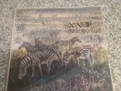 Freddie Gibbs Madlib - Bandana Exclusive Directors Cut Edition Black Vinyl LP