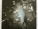 YEAH YEAH YEAHS - IS IS 2007 2 x 7