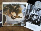 MELIDIAN - Lost In The Wild (1989) Vinyl, LP Epic 465424 1 Hard Rock - EX