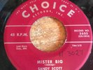 HEAR - HOT FAST 1958 ROCKABILLY - SANDY SCOTT - MISTER BIG - CHOICE