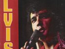 Elvis Presley RCA/Camden LP Burning Love & Hits From His Movies Vol. 2 w/ insert