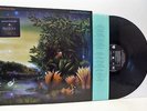 FLEETWOOD MAC tango in the night LP EX/EX-, WX 65, vinyl, album, dmm, with inner