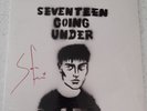 Sam Fender LP Signed Seventeen Going Under. Rare sleeve