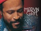 Marvin Gaye - Collected Vinyl 2LP NEU 0452480