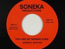 Modern Soul Gospel 45 - Sharnell Morton - You Are My Shining Star - Soneka - mp3