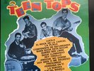 Los Teen Tops — 16 Auténticos Éxitos (Vinyl Record) USED