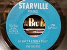 The Desires - Oh What A Lonely Night/Black Girl - Starville 45 VG+ SWEET SOUL
