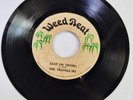 THE TRAVELLERS - KEEP ON TRYING // VERSION [ WEED BEAT ] [ JUN256 ]