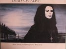 Dead Or Alive Mad Bad & Dangerous To Know Australia pressing 12'' vinyl Lp 1986