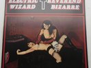 COLLECTABLE VINYL ALBUM 