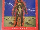 James Brown - Bodyheat Rare polydor Vinyl Lp Record. VG+/VG+ 1976