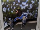 J. Cole - 2014 Forest Hills Drive Vinyl Double LP (Sony)