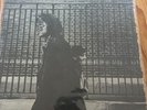 Neil Young After The Gold Rush US Pressing LP Vinyl Record