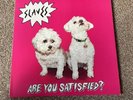 Slaves - Are You Satisfied? Vinyl