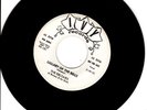 THE DELTAIRS-LULLABY OF THE BELLS DJ DJ DJ VG++ ROCK AND ROLL DOO-WOP
