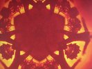 Boards Of Canada - Geogaddi (2xLP + LP, S/Sided, Etch + Album, RE, RM) - 2013 -