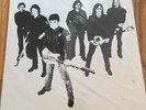 Radio Birdman Radios Appear Australian Pressing LP Vinyl Record