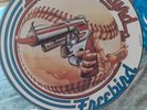 LYNYRD SKYNYRD FREEBIRD SWEET HOME ALABAMA 12