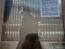 Neil Young - After The Gold Rush (50th Anniversary Edition) [ Vinyl LP]