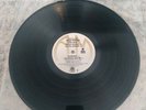 OINGO BOINGO Only a Lad LP Vintage original Press 1981 SP-4863-A LP ONLY