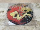 Melvins ‎HAMMERHEAD limited edition 7”EP Vinyl 2012 Camille Rose Garcia HAZE XXL