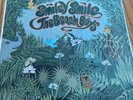 The Beach Boys Smiley Smile 1980 Press Green Label Vinyl Record LP